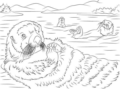 Cute Sea Otters  Coloring Page